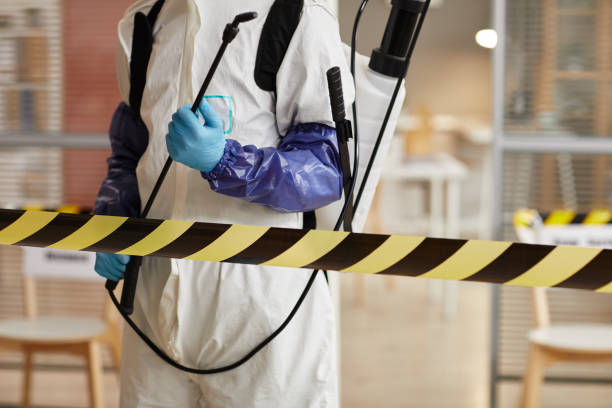 Professional Sewage Cleanup technician working in Saint Nazianz, WI